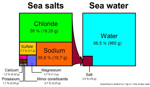 Seawater Composition